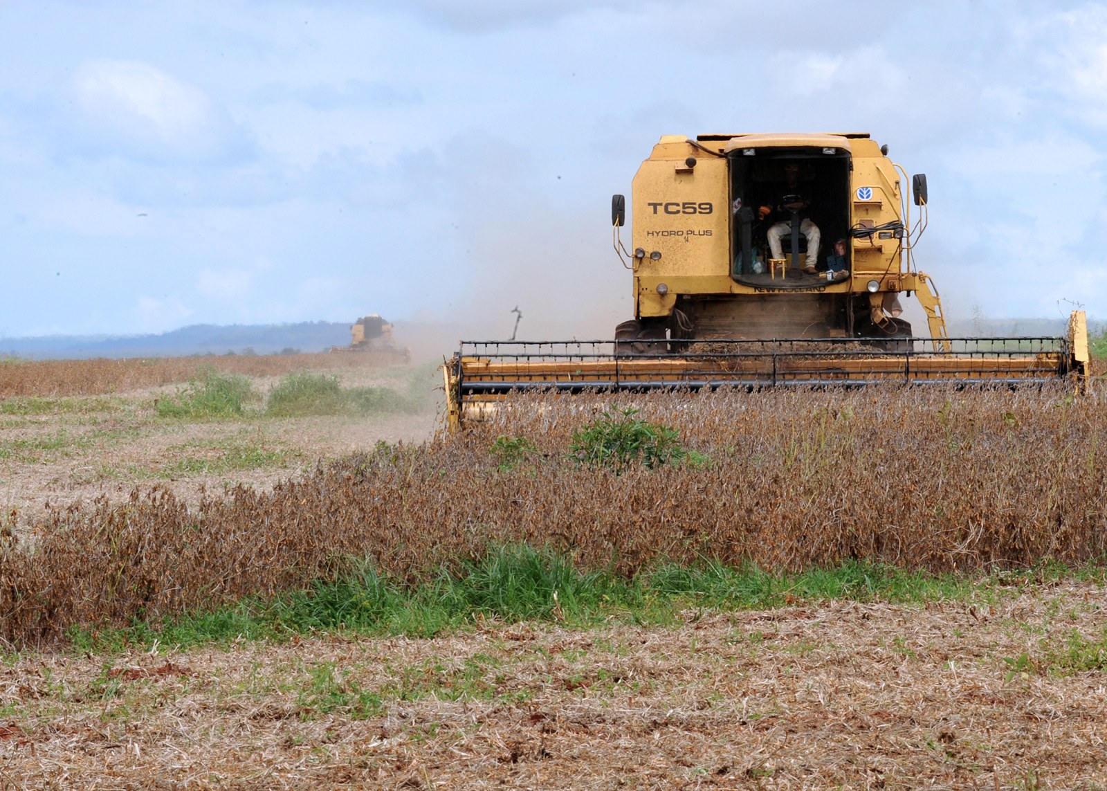Una cosechadora amarilla recoge soja en un campo del estado de Mato Grosso